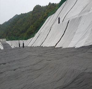 貴州土工防滲膜一畝多少錢(貴州防滲膜價格解析)