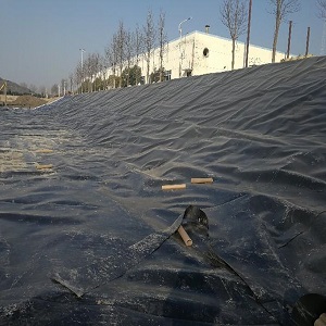 防滲膜30(防滲膜30：高效保障建筑防水)